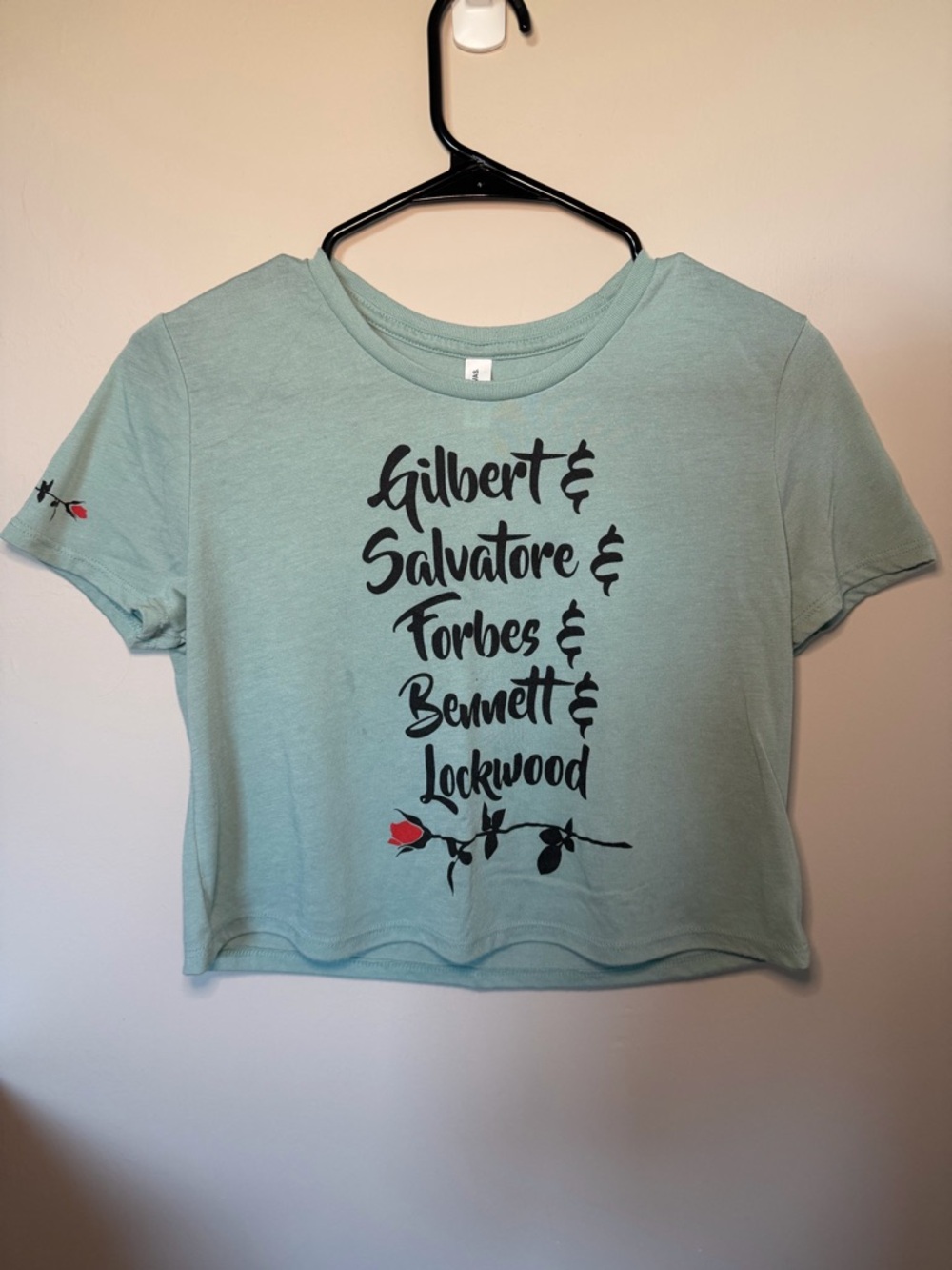 Vampire Diaries Gilbert & Salvatore Graphic Crop Tee - Sage Green